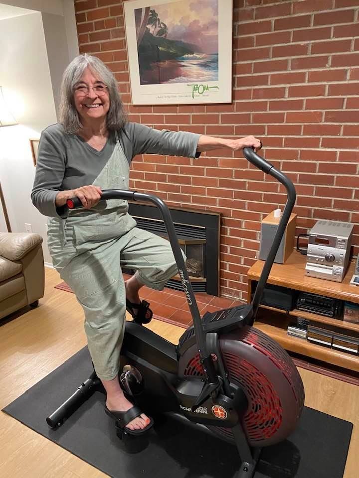 Schwinn Fitness Airdyne Bike Series