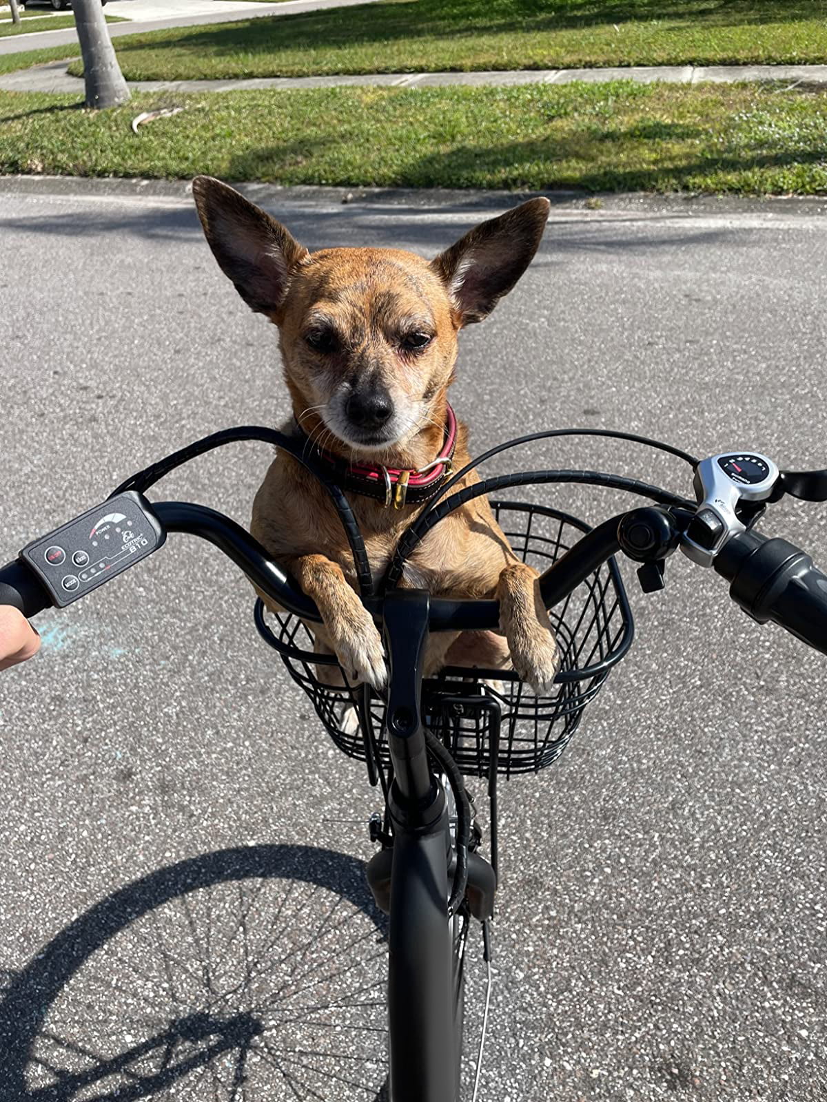 ECOTRIC 26in Step-Through Electric City Bike with Basket, 350W