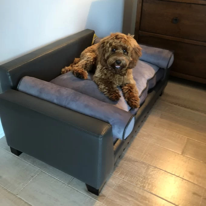 Oberle Dog Sofa