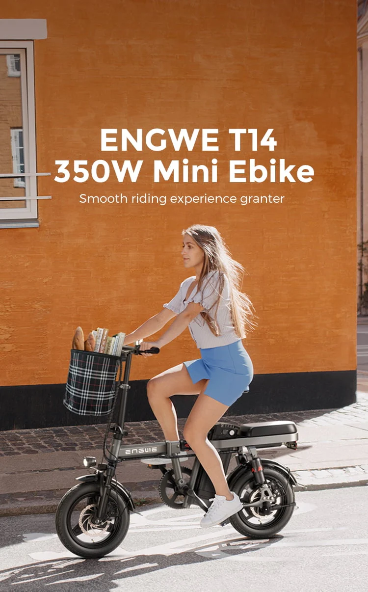 ENGWE T14 Folding Electric Bike, 350W, 48V 10Ah, Gray