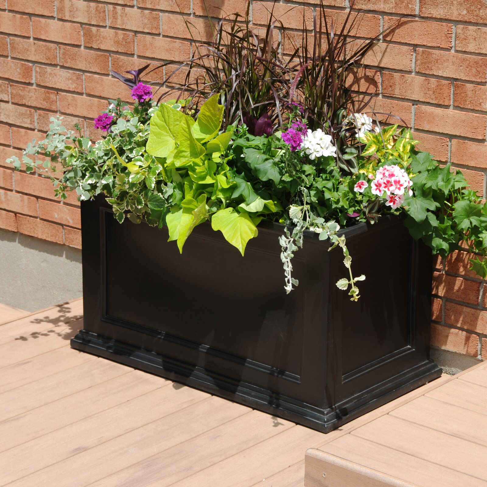 Anastasiya Self Watering Plastic Planter Box