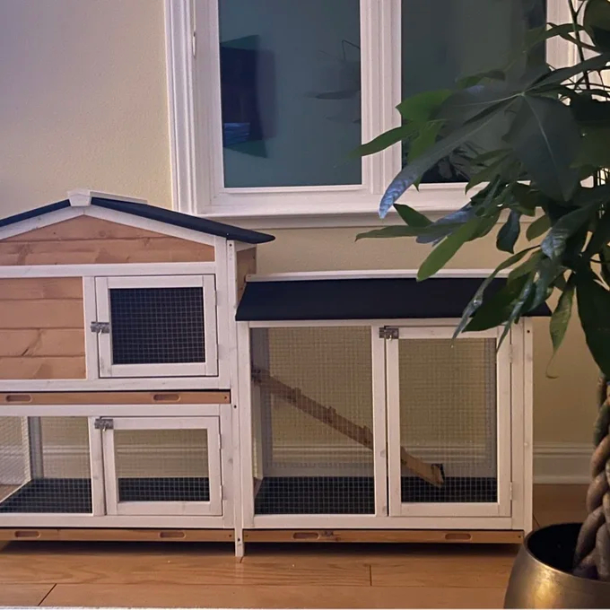 Violetta Weather Resistant Rabbit Hutch with Ramp