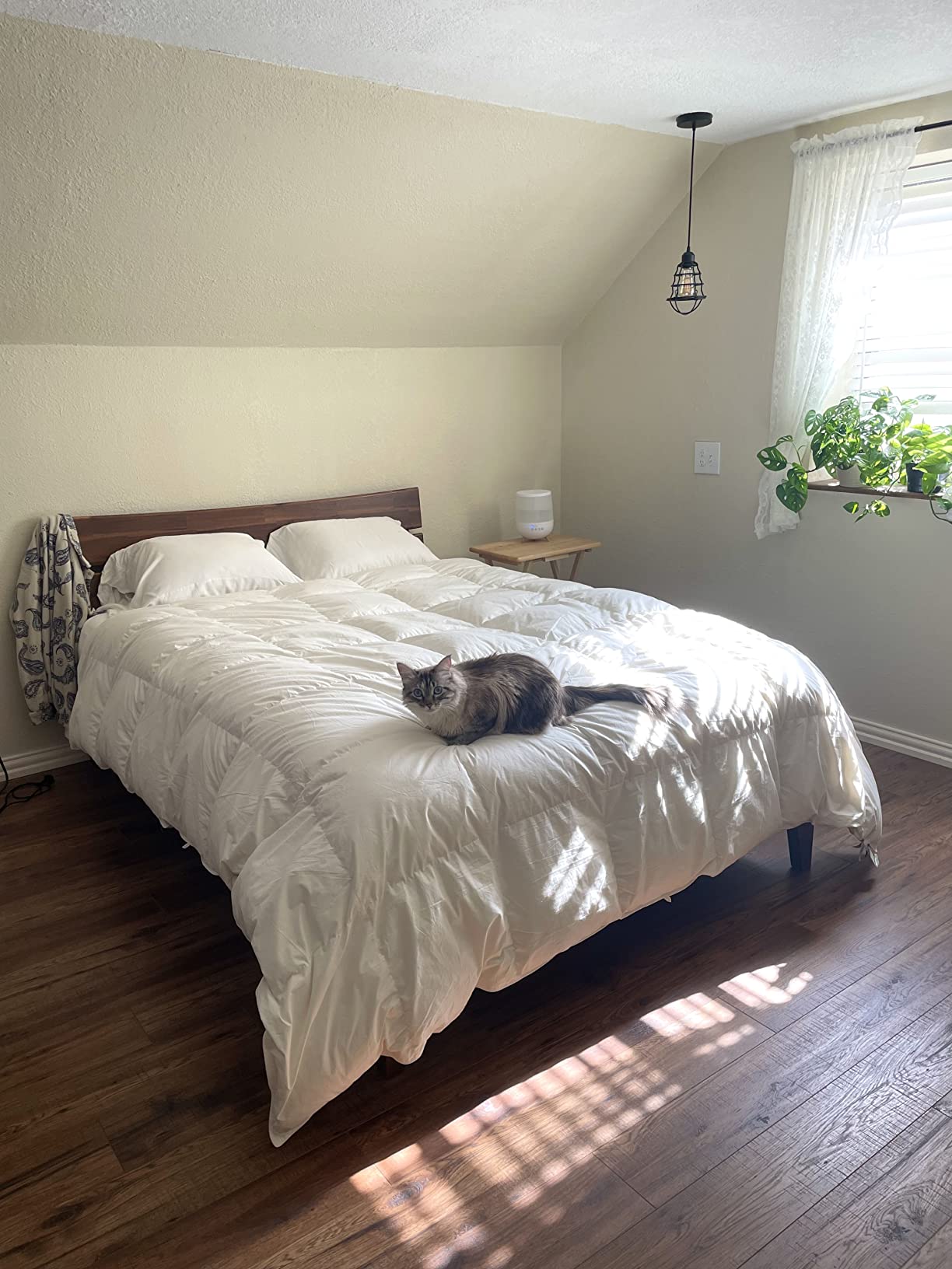 Acacia Aurora 14 Inch Wood Platform Bed