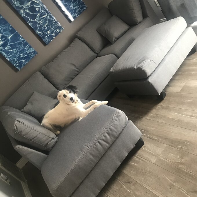 Hemphill 3 - Piece Upholstered Chaise Sectional
