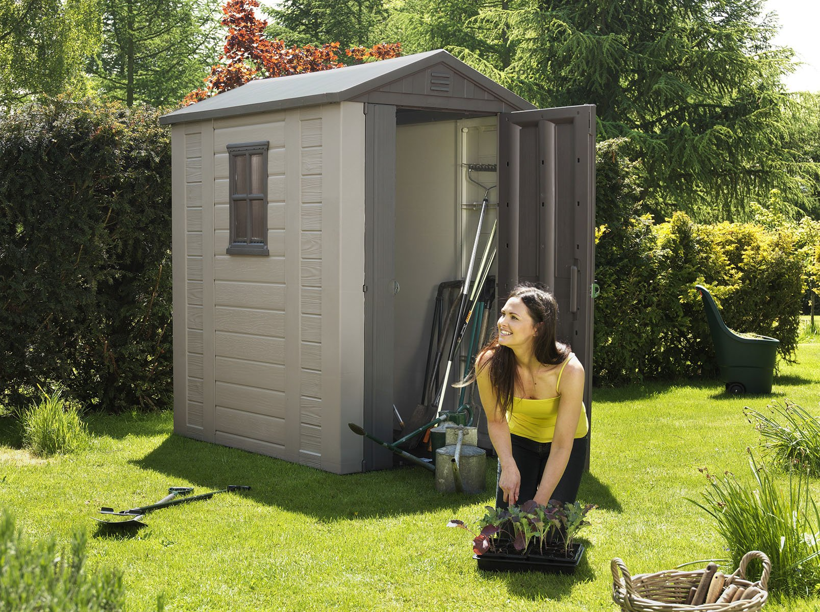 4x6 Storage Shed