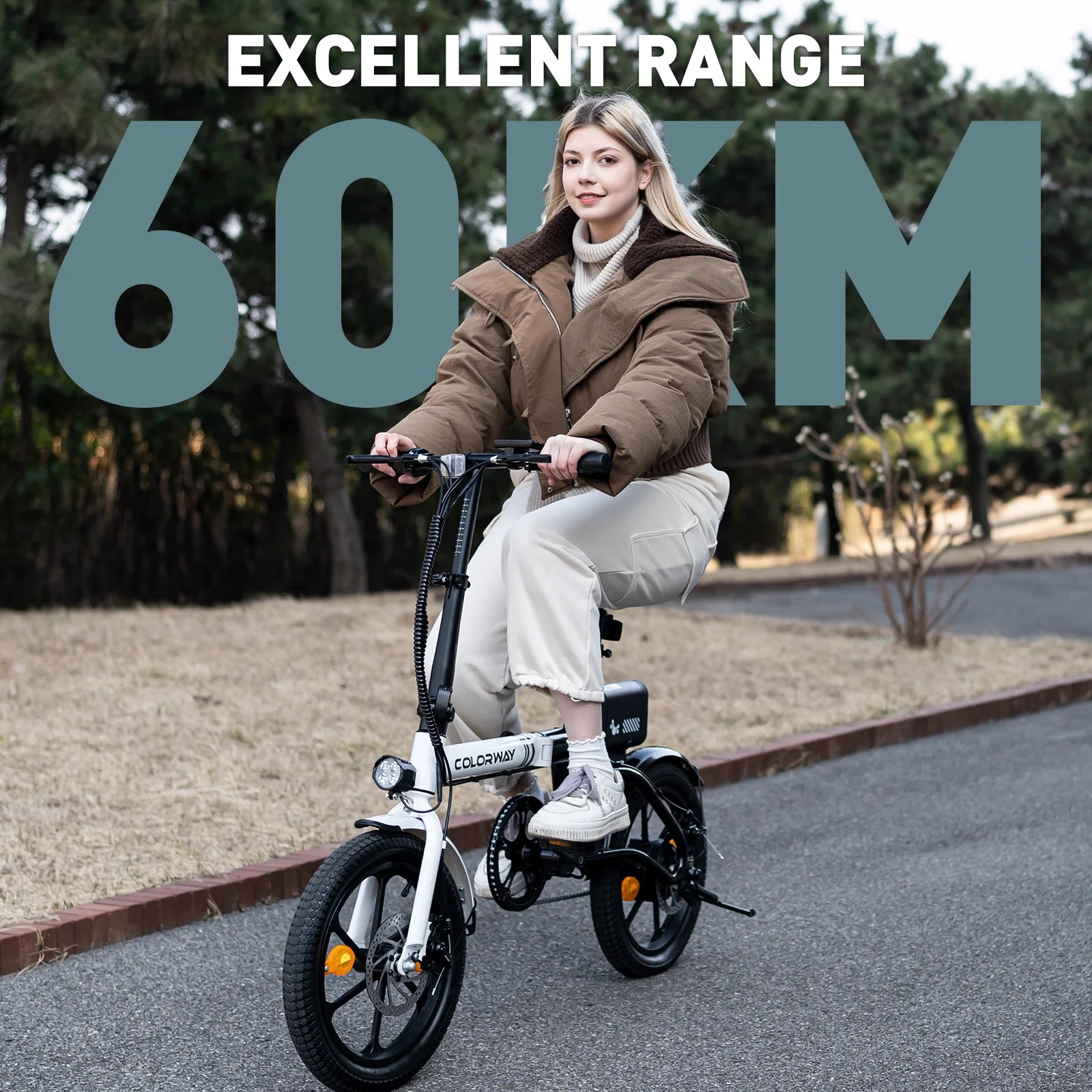 COLORWAY BK35M 16in Folding Electric Bike, 350W