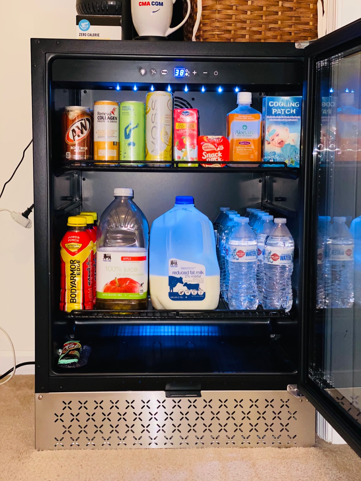 Tylza Beverage Refrigerator 24 Inch