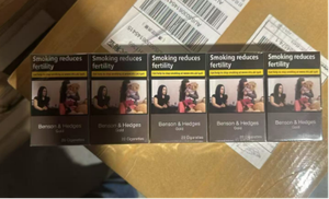 Benson & Hedges Gold 8mg Carton