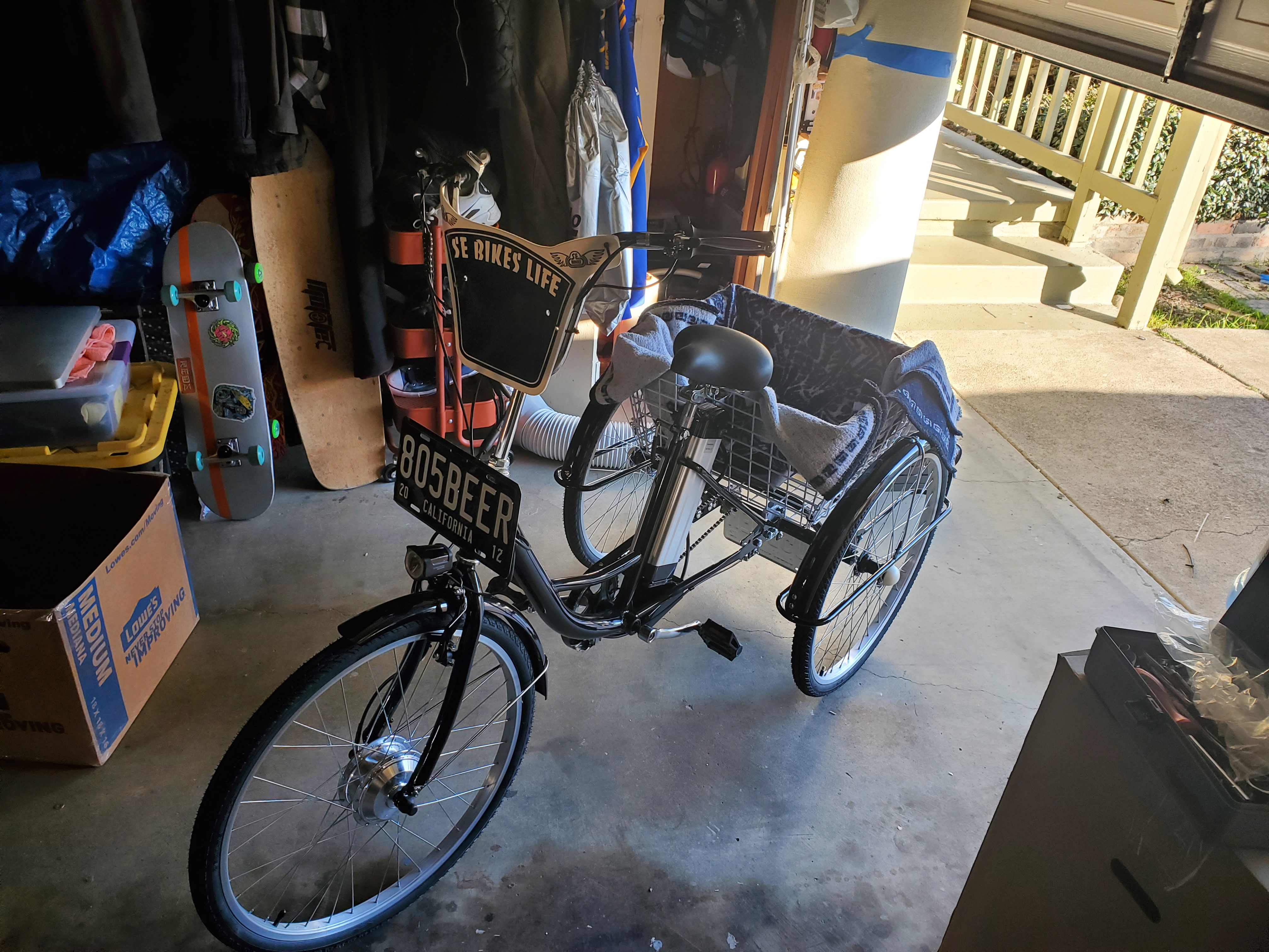 3 Wheel Electric Bike for Adults with 250w Motor