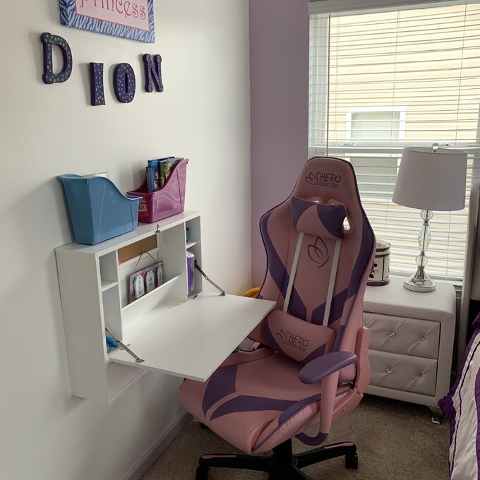 PC & Racing Game Chair