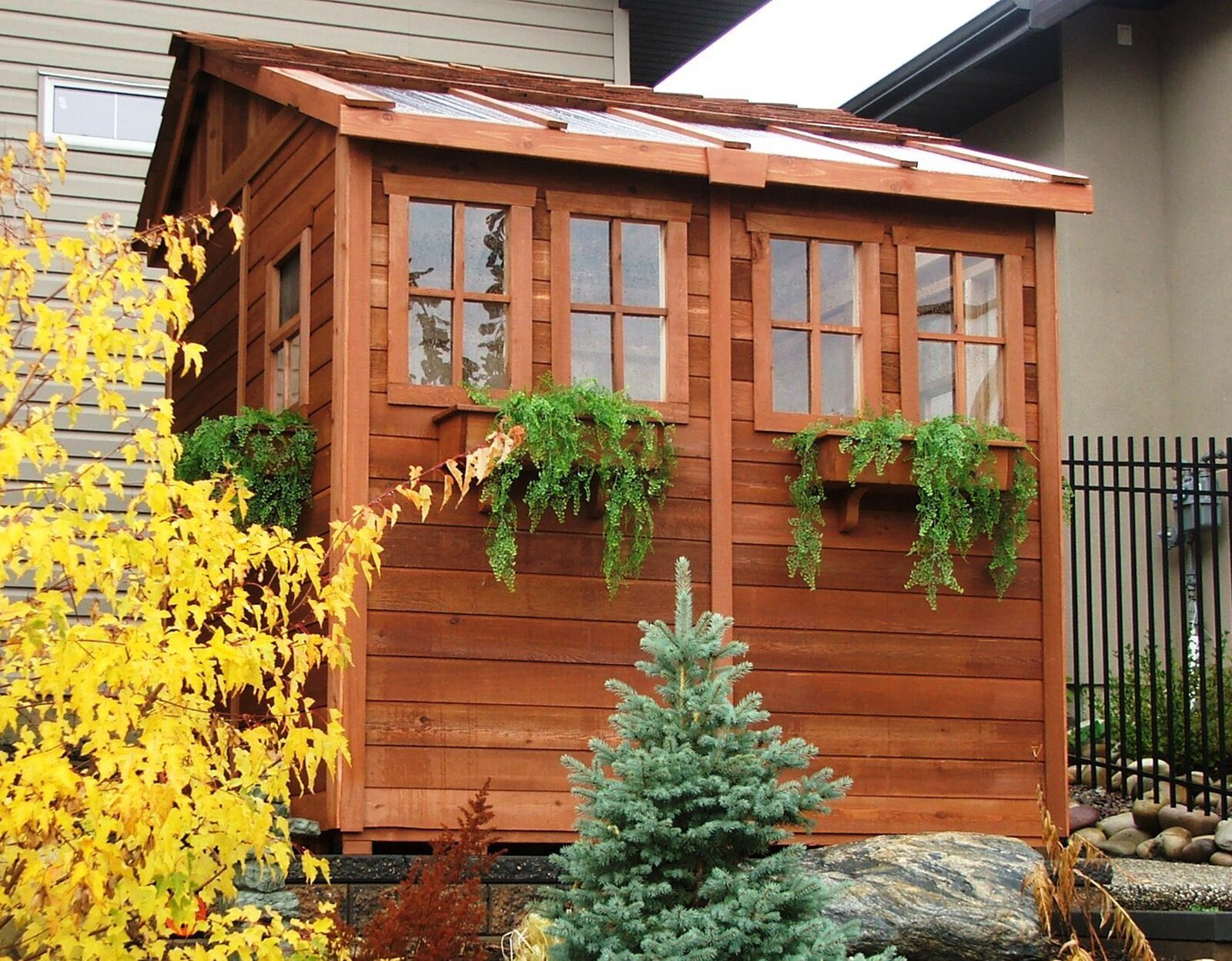 8x8 ft Cedar Wood Sunshed Garden Shed