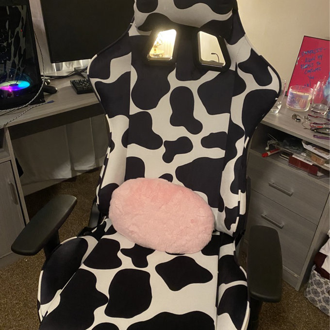 PC & Racing Gaming Chair