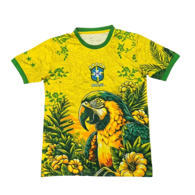 26WC-South America-Brazil