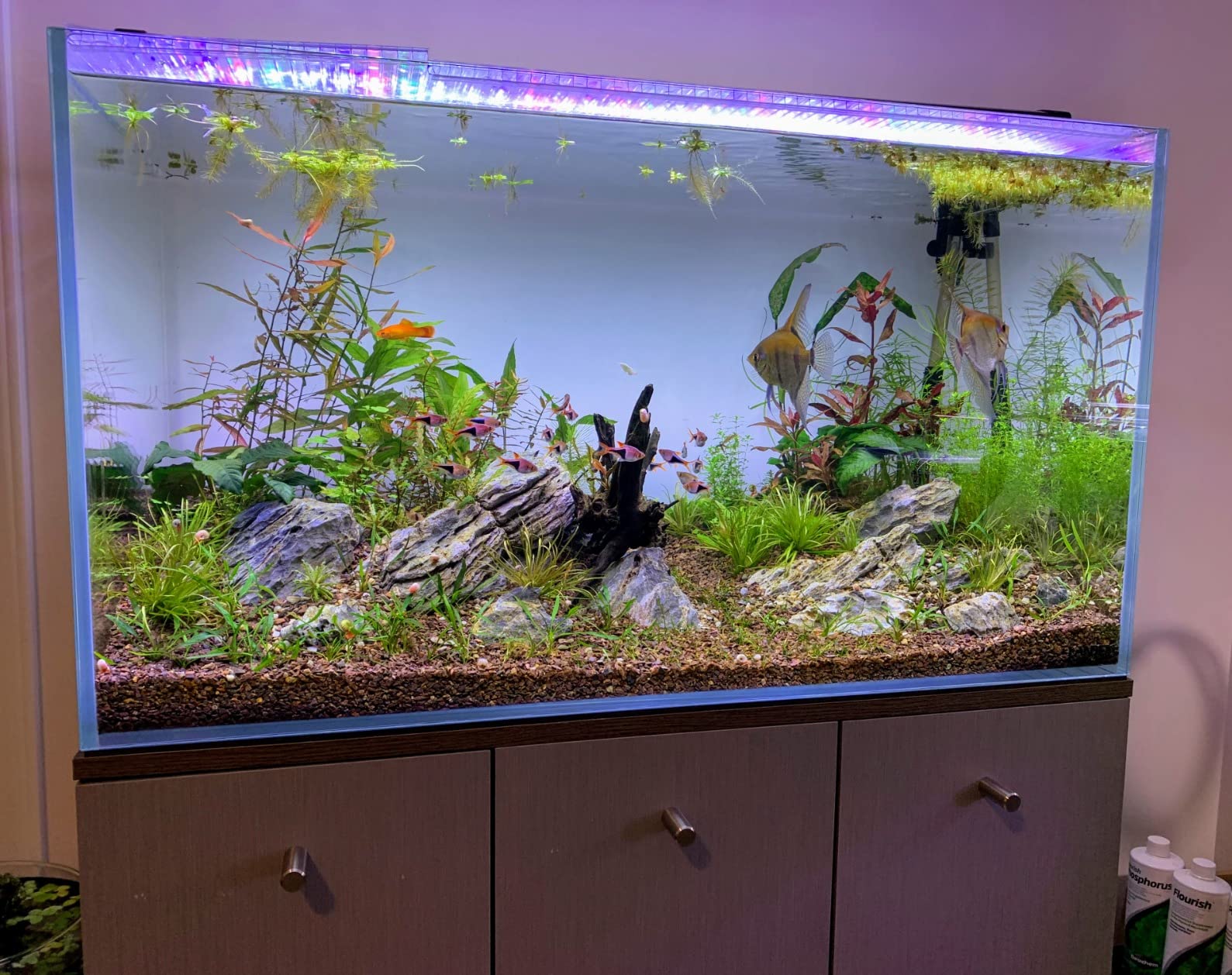 120P 72.2 Gallon Rimless Low Iron Aquarium Tank