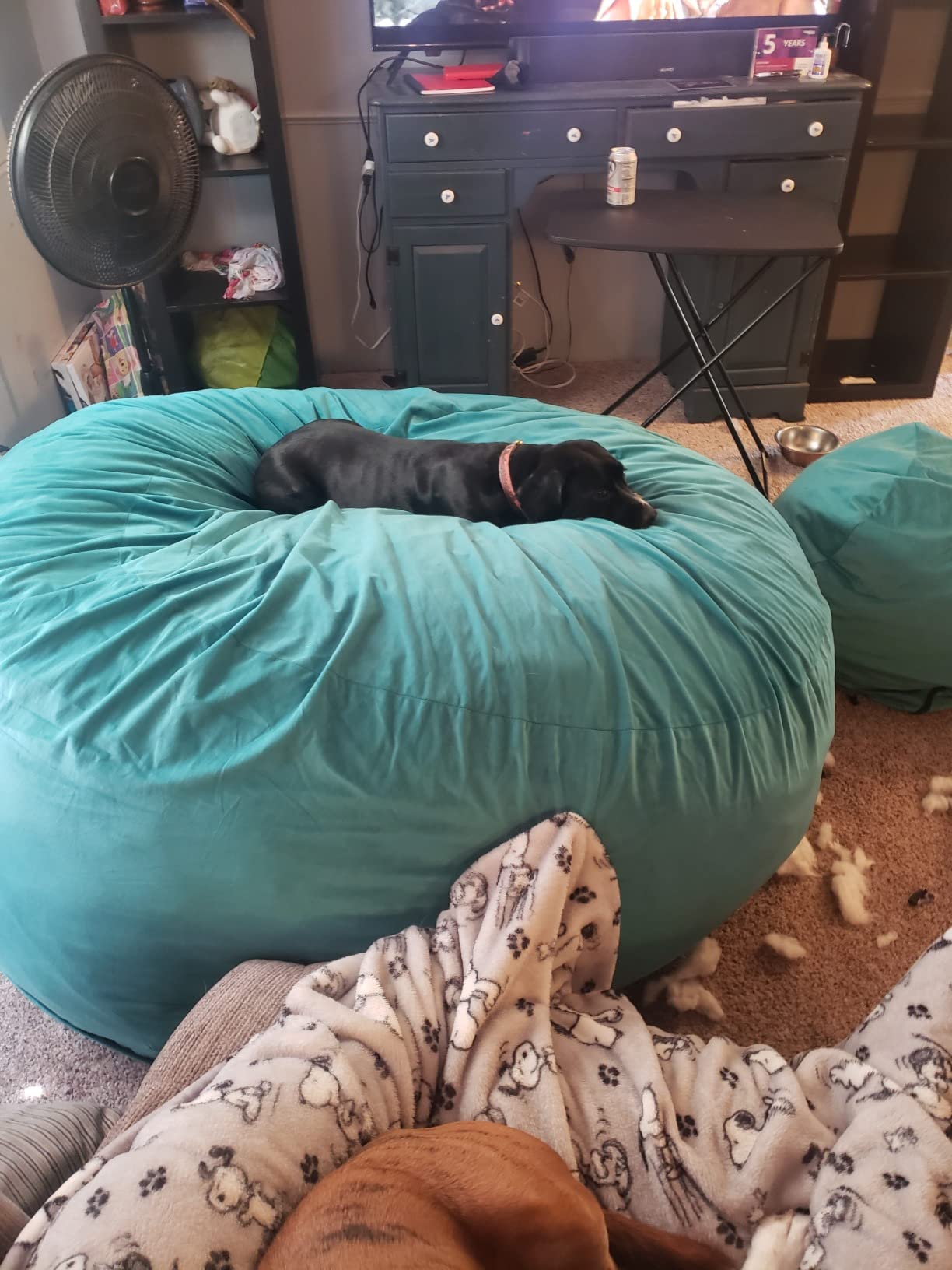 6000 Bean Bag Chair withFootstool: Giant Foam-Filled Furniture