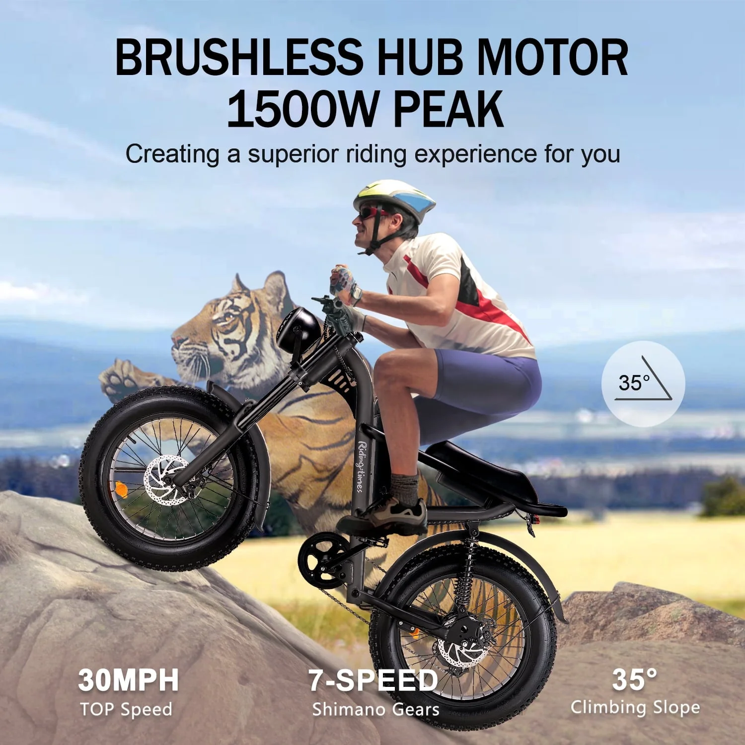 Riding'times Z8 20in Fat Tire Electric Bike, 1500W, 16Ah