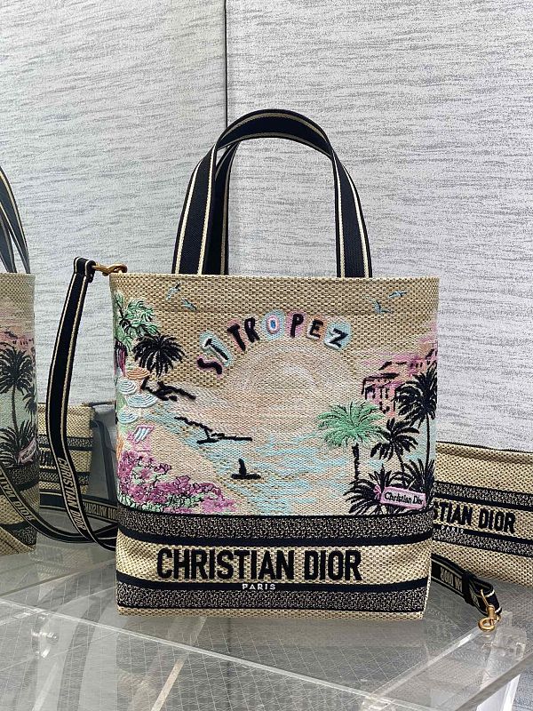 Dior Book Tote Small Saint Tropez