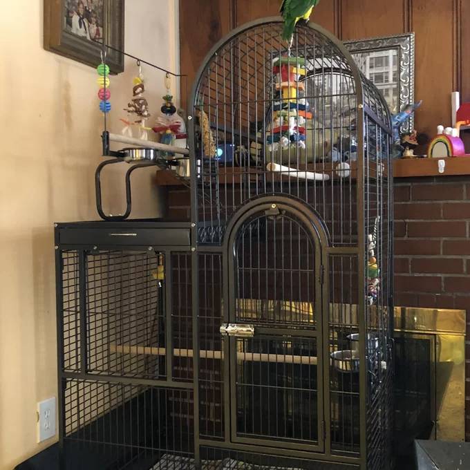 Nickelson 66'' Steel Play Top Floor Bird Cage with Wheels