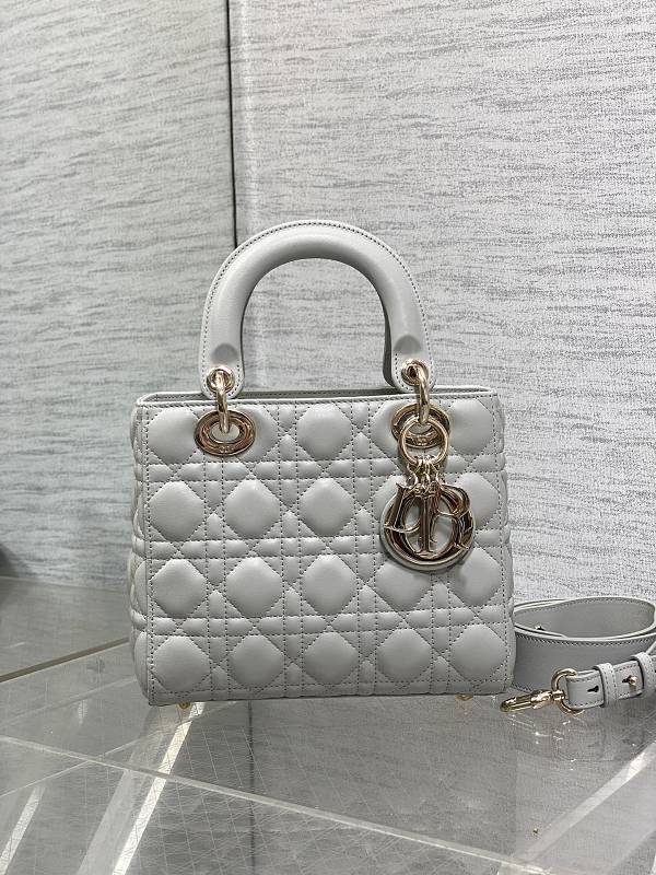 Dior Lady Mini Leather Bag