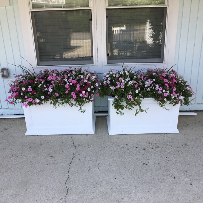 Anastasiya Self Watering Plastic Planter Box