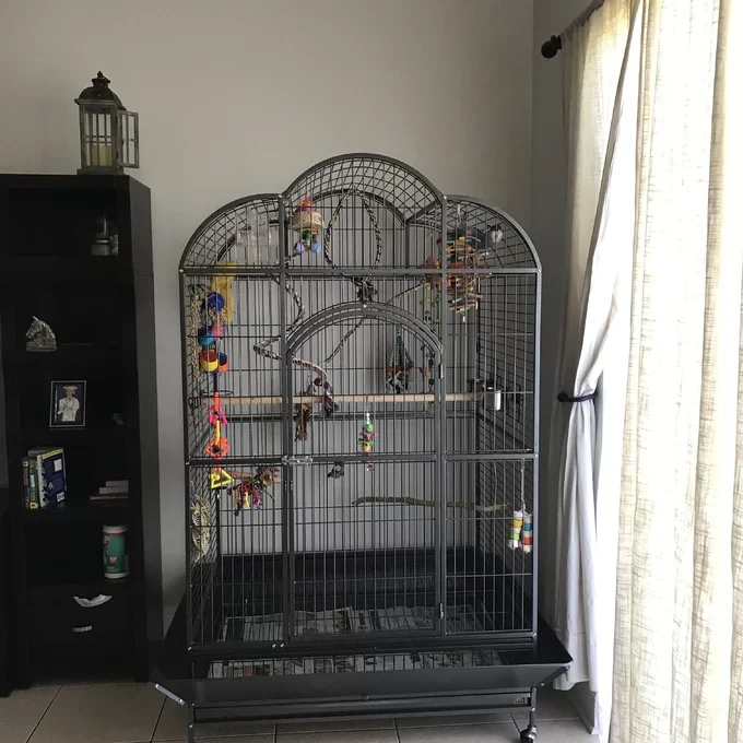 Backes 78.25'' Steel Victorian Top Floor Bird Cage with Wheels