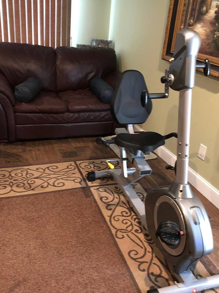Sunny Health & Fitness Recumbent Bike SF-RB4631 with Arm