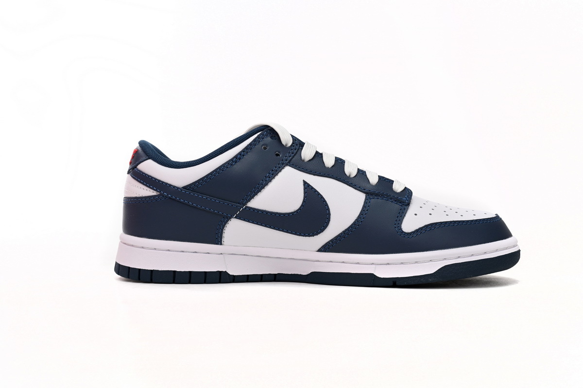 Nike Dunk Low White Indigo DD1391-400