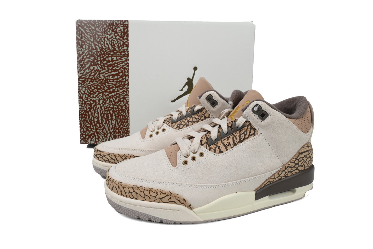 Air Jordan 3 Retro Palomino CT8532-102