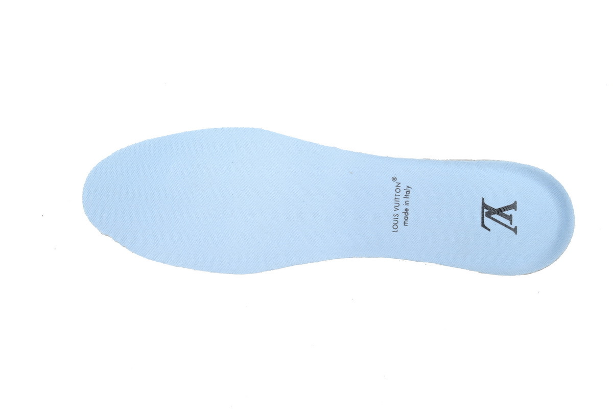 Louis Vuitton Skate Sneaker Blue Black White