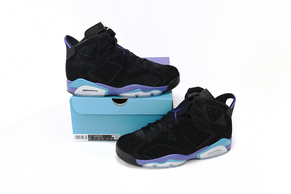Air Jordan 6 GRAPE CT8529-004