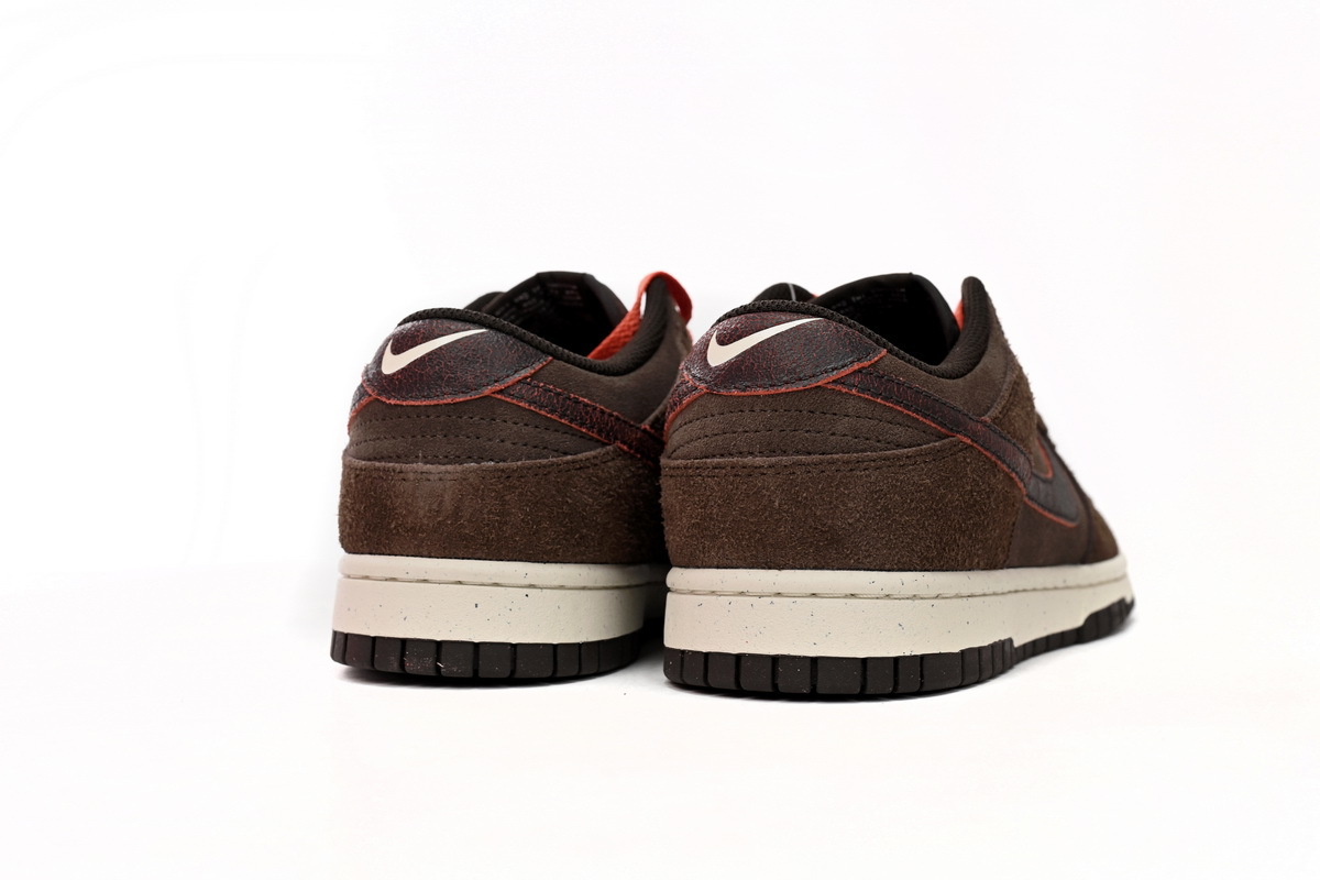 Nike Dunk Low Baroque Brown DQ8801-200