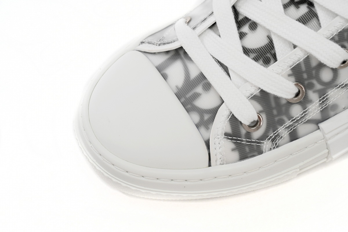 Dior B23 Oblique Low Top Sneakers