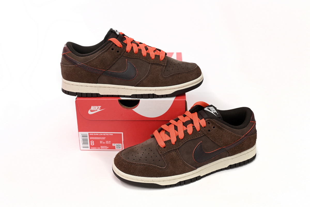 Nike Dunk Low Baroque Brown DQ8801-200