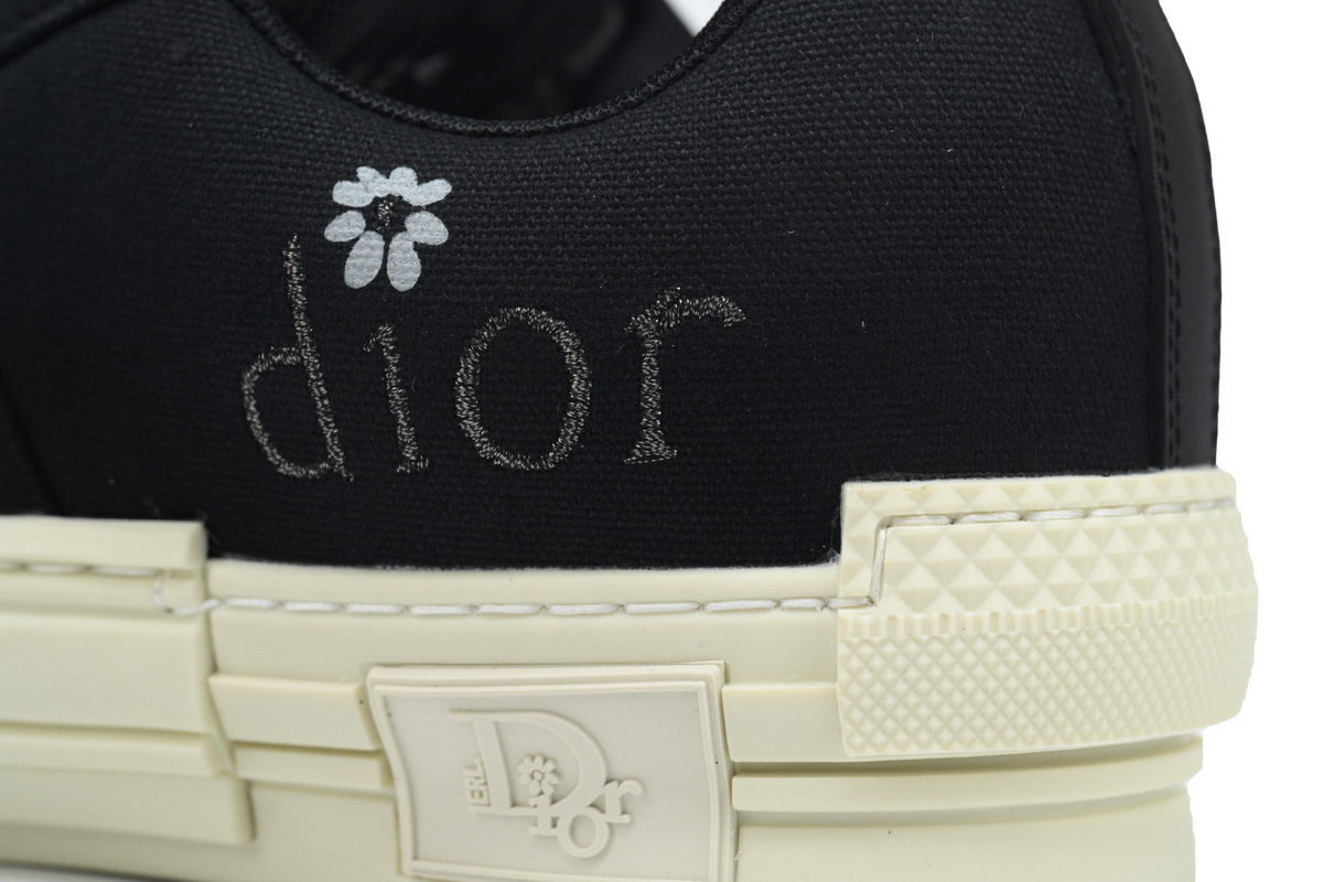 ERL x Dior B23