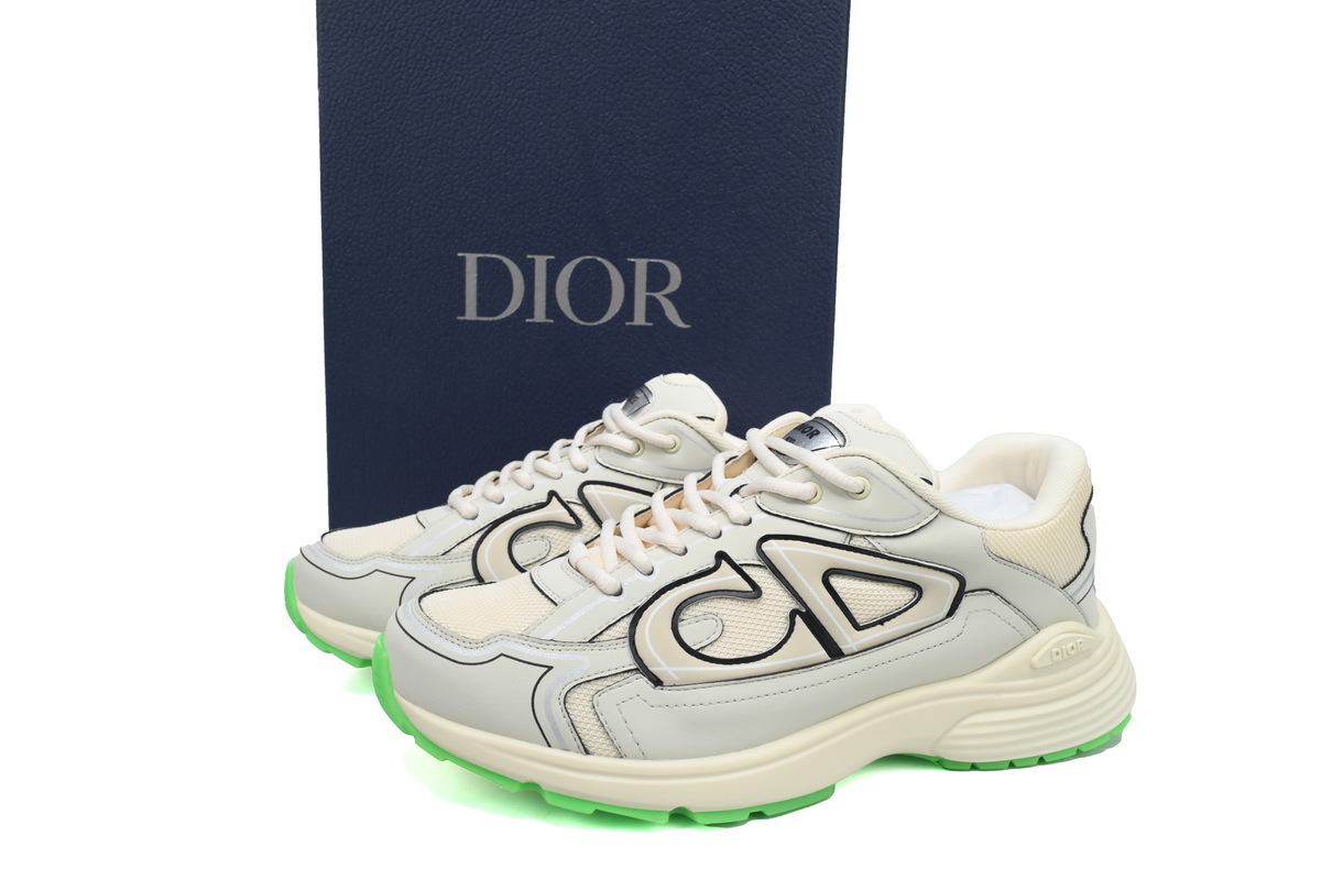 Dior B30 Reflective CD30 - Cream Green 3SN279ZRD-H166
