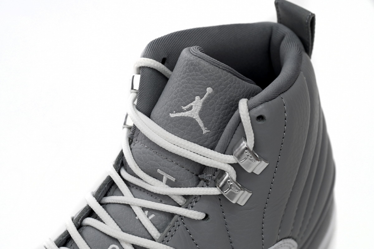 Air Jordan 12 Stealth CT8013-015
