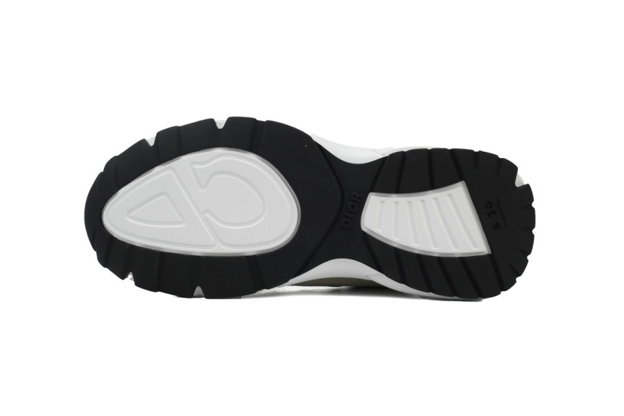 Dior B30 Light Green Purple 3SN279ZRCF_H368