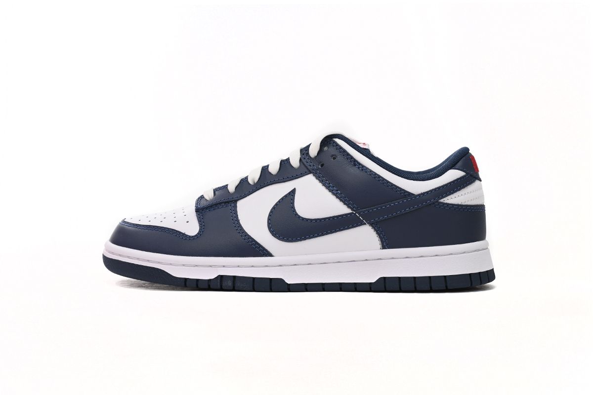 Nike Dunk Low White Indigo DD1391-400