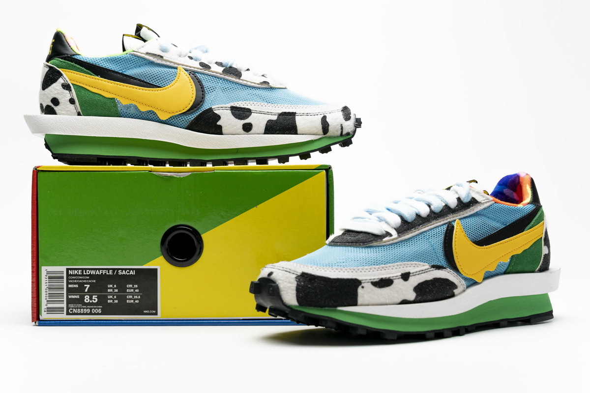 Ben & Jerry's x Nike LDWaffle CN8899-006