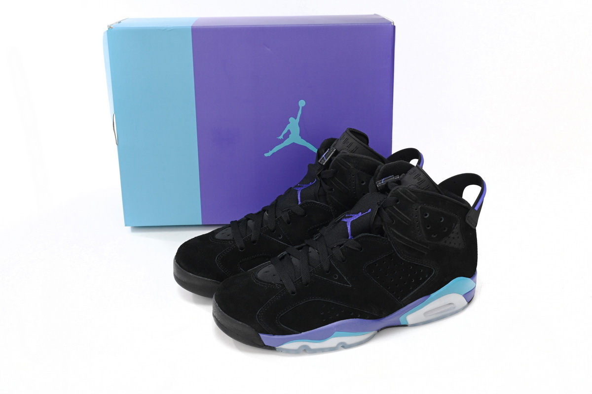 Air Jordan 6 GRAPE CT8529-004
