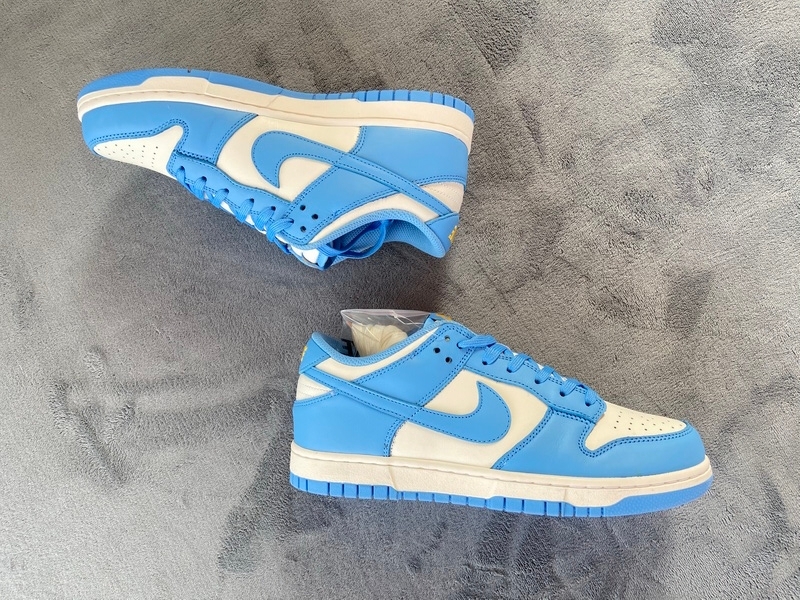 Nike Dunk Low Coast Blue DD1503-100