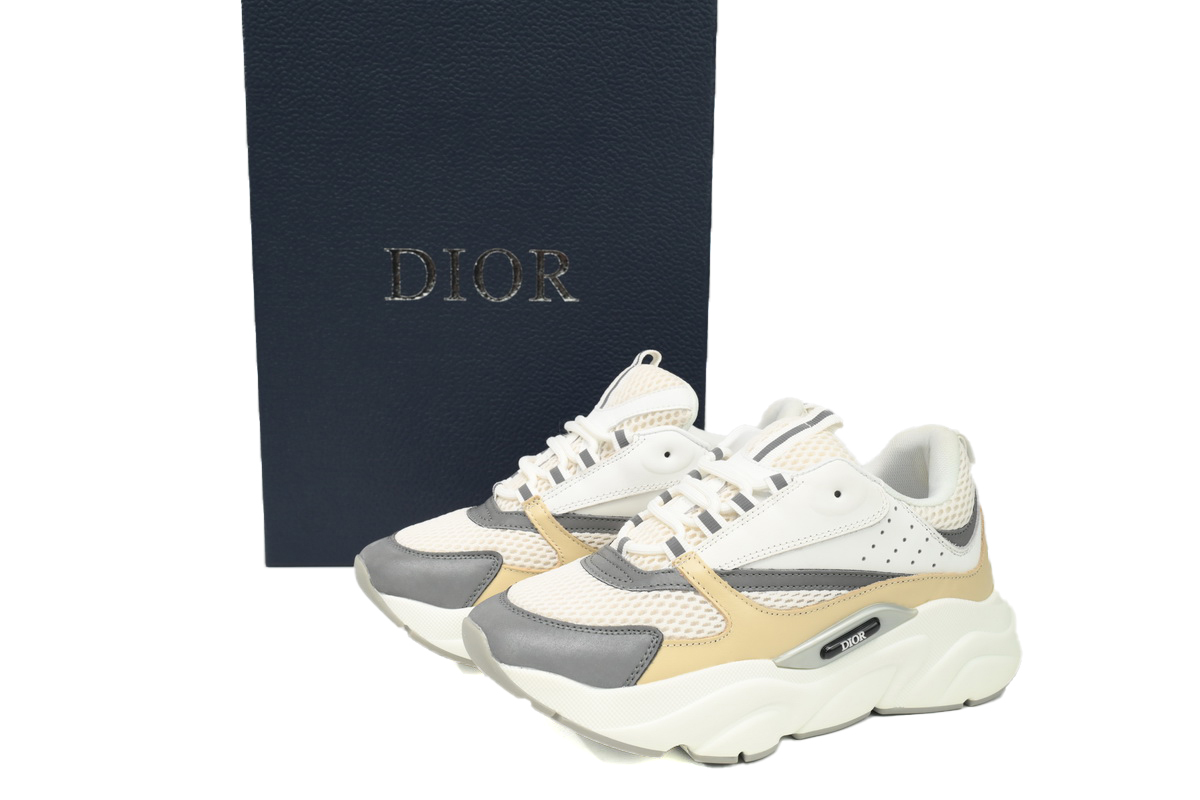 Dior White Blue Black B22 Sneakers Cream