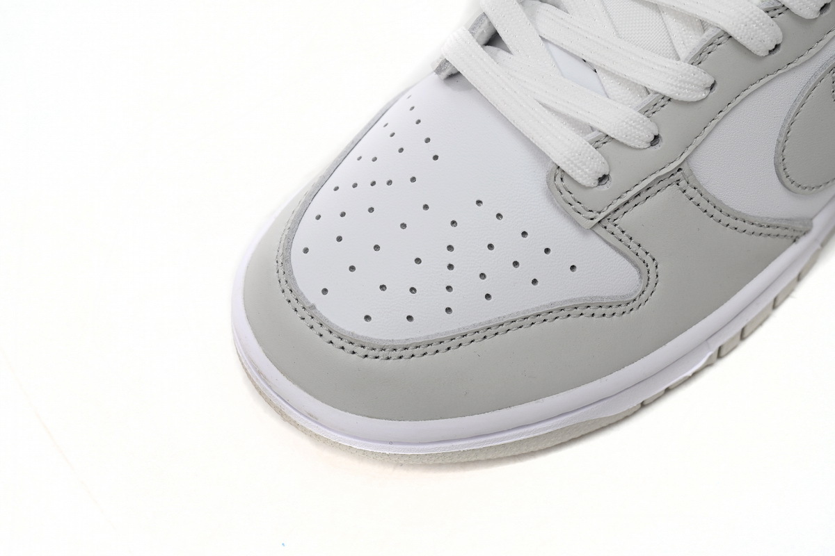 Nike Dunk Low Photon Dust DD1503-103