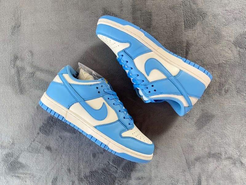 Nike Dunk Low Coast Blue DD1503-100