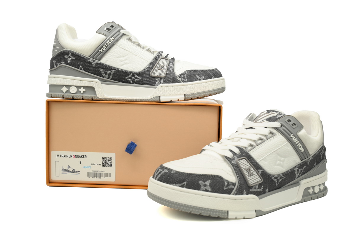 Louis Vuitton Trainer Grey