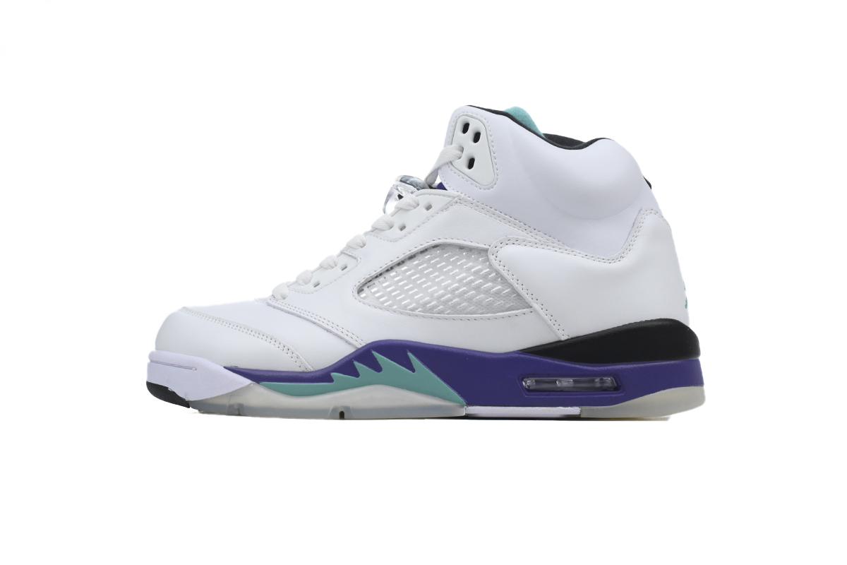Air Jordan 5 Retro Grape 136027-108
