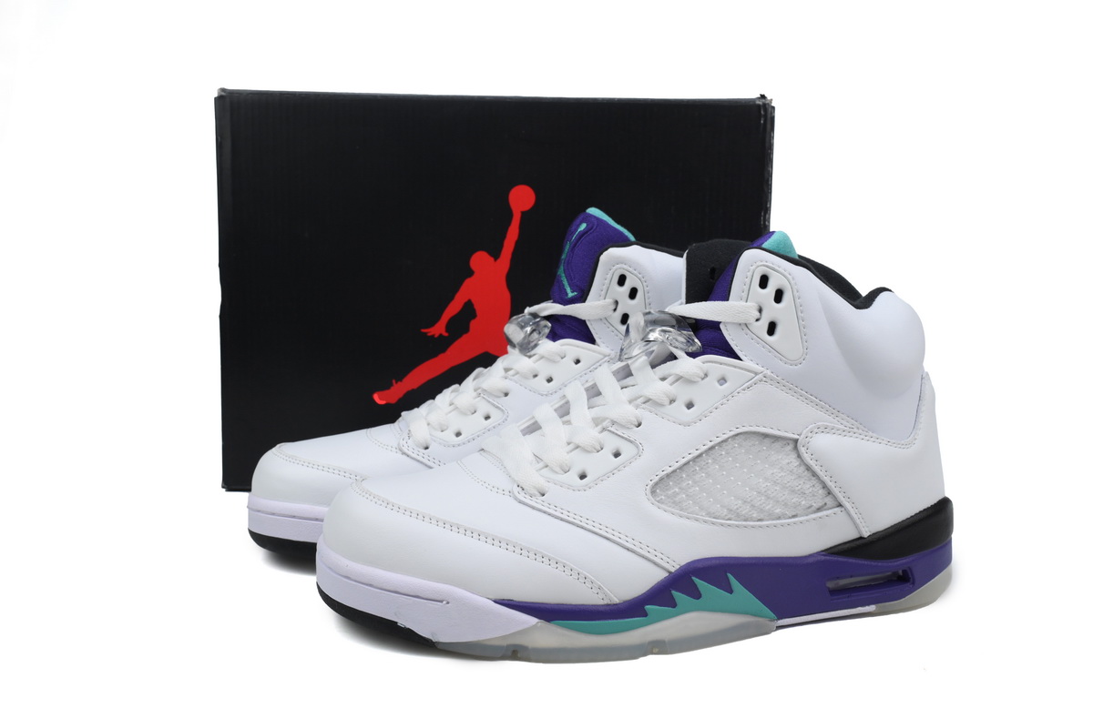 Air Jordan 5 Retro Grape 136027-108