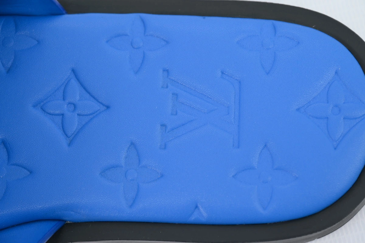 Louis Vuitton Oasis Blue Leather Surface