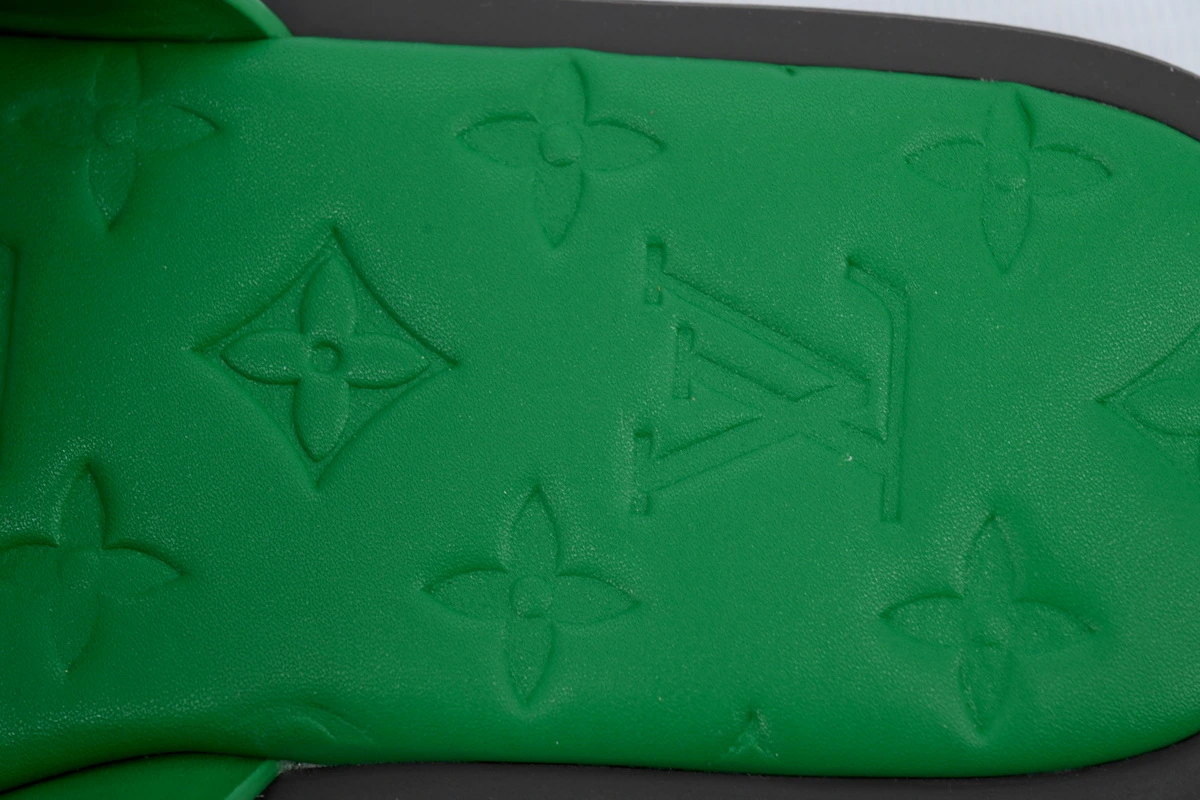 Louis Vuitton Oasis Green Glossy Surface