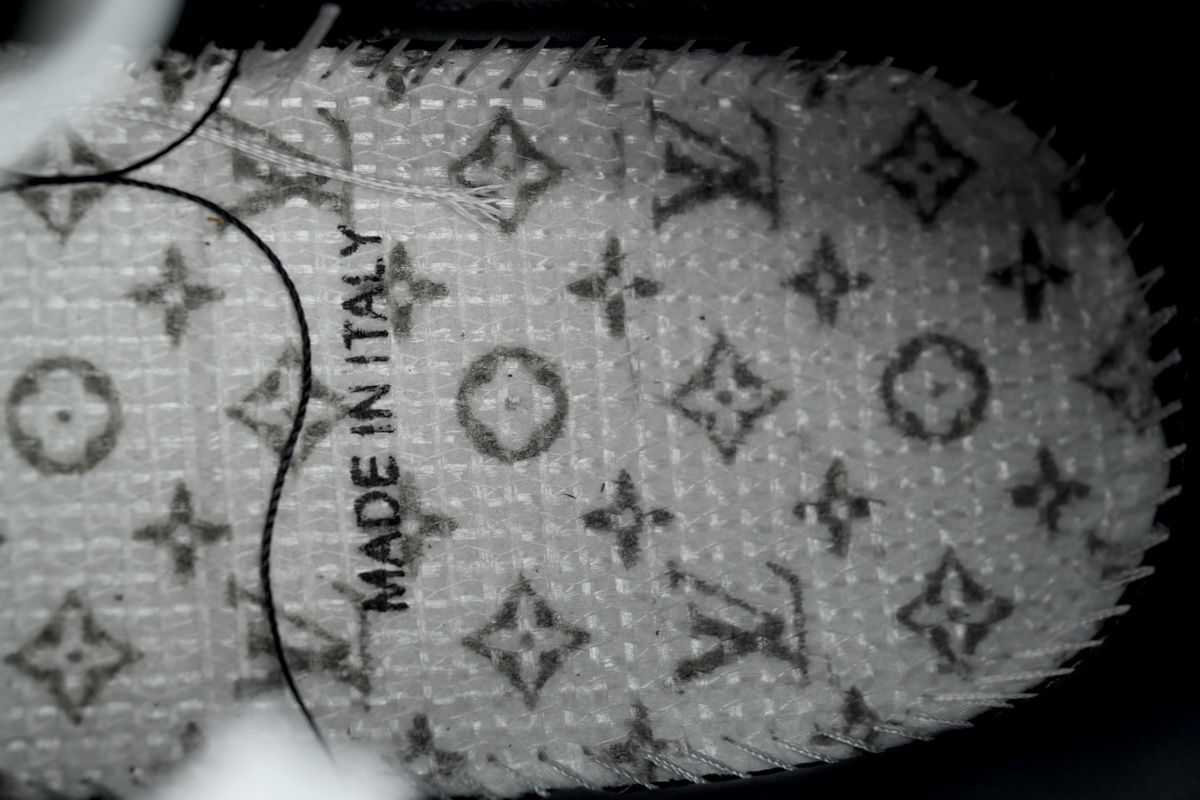 Louis Vuitton Sneaker Black Skin And White Background